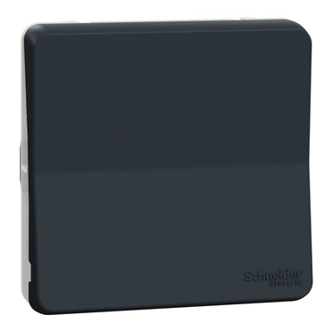 Schneider - девиатор IP55 Антрацит Mureva Styl MUR37021