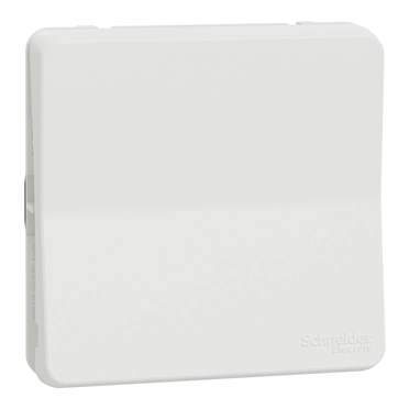 Schneider - Девиатор IP55 БЯЛ Mureva Styl MUR39723